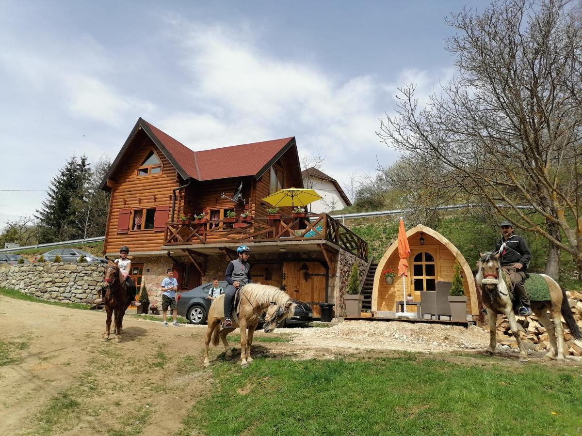 Vila Jelena - Bungalov Crni Vrh Exterior foto